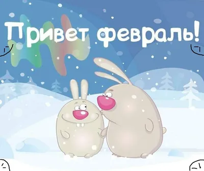 Зимнее 💗☃️💗 Утро доброе! Февраль! | Фотография юмор, Зимние цитаты,  Доброе утро