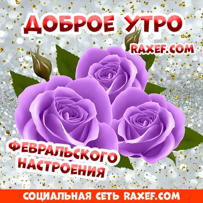 🌲🌨️☃️🏠☃️🌨️🌲 Зимний Привет! Февраль! | Открытки, Поздравительные  открытки, Картинки