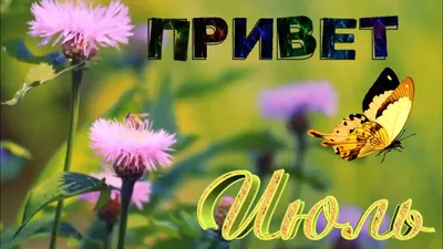 Привет, июль.. Вектор месяца в июле с Swashes и листьями Birdhouse цветов.  Флористическое оформление. В июле месяце иллюстрации Иллюстрация вектора -  иллюстрации насчитывающей ежемесячно, иллюстрация: 185415952