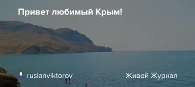 Привет, родная. Привет, любимый\" | Андрей Лукашенко | Дзен