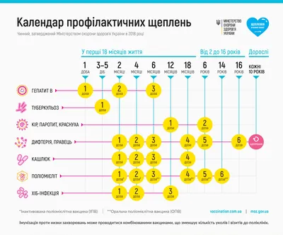 Какие прививки ждут малыша в роддоме? - Роддом 17 Вересаева