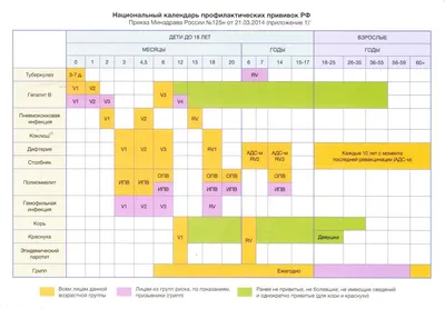 Какие прививки взрослым казахстанцам ставят бесплатно | informburo.kz