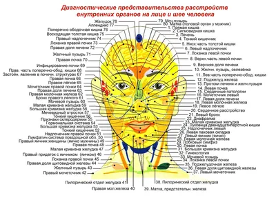 Цирроз печени: причины, течение заболевания, лечение