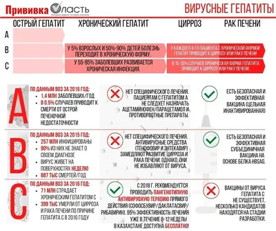 Вирусный гепатит С | ГУЗ Областной врачебно-физкультурный диспансер