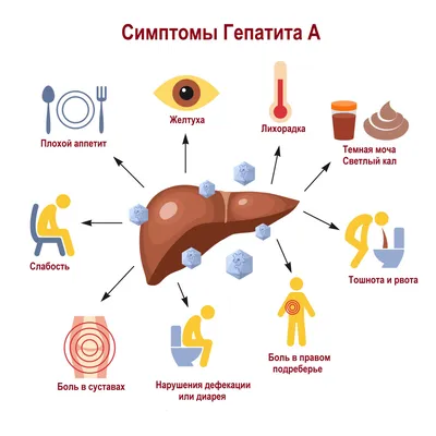 Что такое гепатит?