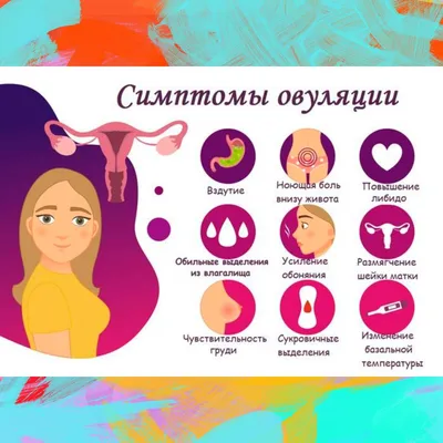 Признаки овуляции ❤️✓ | Instagram