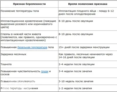 Овуляция: что это, симптомы, когда наступает и сколько длится