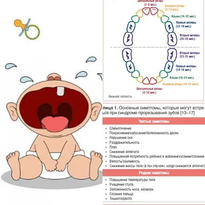Как выбрать средство при прорезывании зубов | Статьи и тест-драйвы |  Интернет магазин детских товаров в Украине. Купить товары для детей с  доставкой - Pampik.