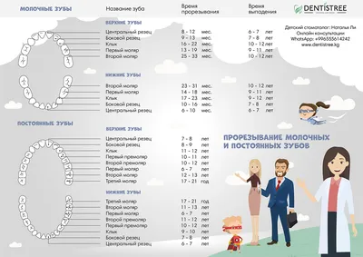 Прорезывание зубов у ребёнка - Чем лечиться при прорезывании зубов