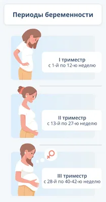 Расположение плода в матке - Положение - Предлежание - Позиция - Вид  Сохраняй и определяй правильно ❤ | Instagram