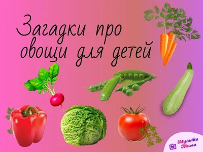 Лэпбуки «Азбука здоровья», «Моя Родина — Россия» (5 фото). Воспитателям  детских садов, школьным учителям и педагогам - Маам.ру