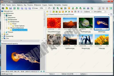 FastStone Image Viewer 7.8 скачать бесплатно - Бесплатные программы