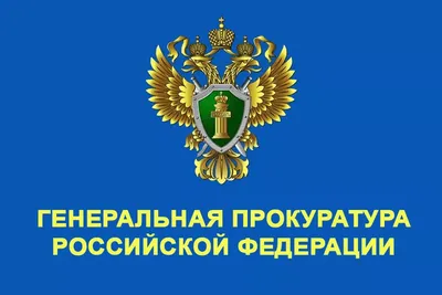 Прокуратура всё больше делает акцент на своей правозащитной функции» |  Статьи | Известия