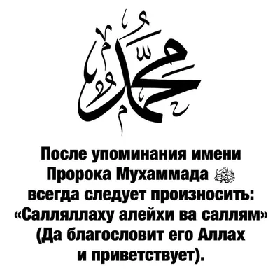 Услышь эти слова! Пророк Мухаммад был прав, просто До Слёз! Лучшие Цитаты и  Наставления - YouTube