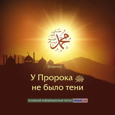 Если тебе приснился Пророк Мухаммад ﷺ | muslim.kz