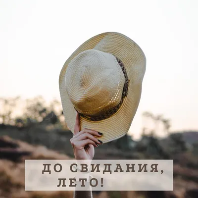 лето, прощай! - Лето/Summer - Повседневная анимация - Анимация - Мир  авторской анимации gif