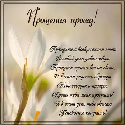 С Наступающим прощенным воскресеньем! У всех от всей души прошу прощения!🙏  | ВКонтакте