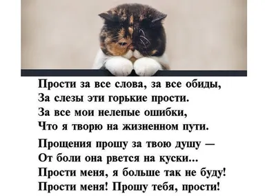 УПС, ПРОШУ ПРОЩЕНИЯ, ЦАРСТВО животных. Похоже, я только что научился кидать  ЕБАННЫЙ КАМЕНЬ. ПОЛАГАЮ, ВСЯ ВАША ЭВОЛЮЦИОННАЯ ГОНКА ВООРУЖЕНИЙ ПОШЛА ПО  ПИЗДЕ. Теперь это моя планета. / приколы для даунов :: камень - JoyReactor