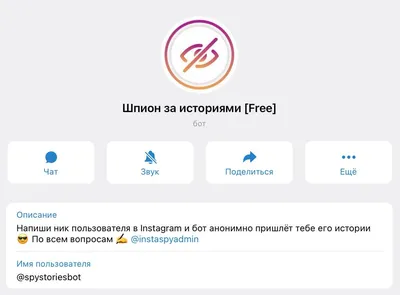 Instagram отключил просмотр Stories по местоположению и хэштегу | ИА  Красная Весна