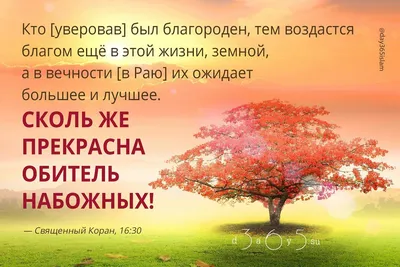 Картина в раме Симфония \"Засыпай с мечтой-просыпайся с целью\" 50x40 см в  Саранске – купить по низкой цене в интернет-магазине Леруа Мерлен