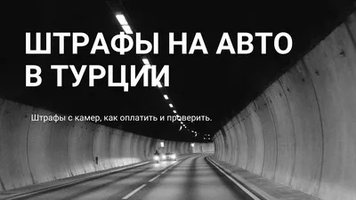 Штрафы ГИБДД для юридических лиц - как проверить и оплатить