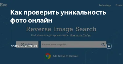 Как проверить уникальность фото онлайн | Полезный Интернет | Дзен