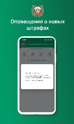 Проверка штрафов ГИБДД по номеру постановления, поиск | Мои Штрафы