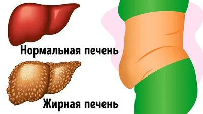 Не каждый человек, страдающий акне, знает, что прыщи на лице. Это не только  внешнее несовершенство, но и сигнал.. | ВКонтакте