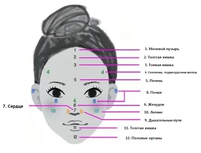 ОПРЕДЕЛЕНИЕ БОЛЕЗНЕЙ ПО ЛИЦУ - Обо всем - Форум dzagi.club