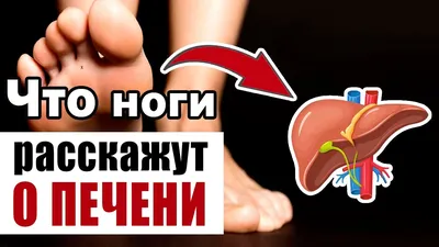 Как прыщи на лице связаны с работой желчного пузыря?