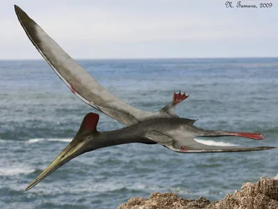 Птеродактиль – Pterodactylus – Птерозавры – Динозавры