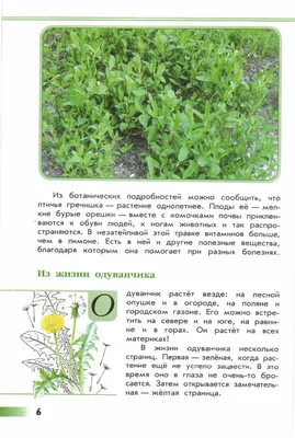 Изображение растения Polygonum aviculare. | Идеи посадки растений, Растения