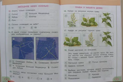 Польза прогулок с детьми зимой (2 фото). Воспитателям детских садов,  школьным учителям и педагогам - Маам.ру