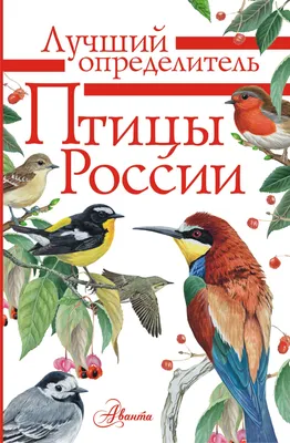 Птицы России (Алексей Мосалов) - купить книгу с доставкой в  интернет-магазине «Читай-город». ISBN: 978-5-17-117539-9