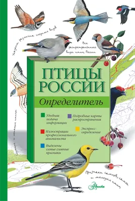 Птицы России. Большая иллюстрированная энциклопедия купить по низким ценам  в интернет-магазине Uzum