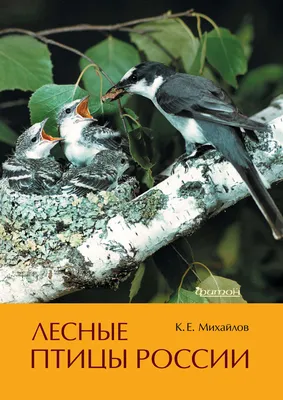 Иллюстрация 3 из 22 для Тематический словарь в картинках. Мир животных.  Книга 5. Перелетные и зимующие птицы России - Анна Горьканова | Лабиринт -  книги. Источник: Васильева Марина