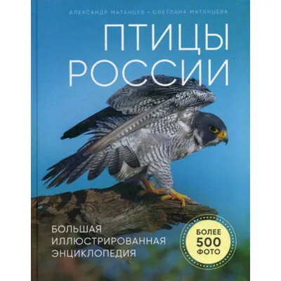 Отзывы о книге «Лесные птицы России», рецензии на книгу Константина  Михайлова, рейтинг в библиотеке Литрес