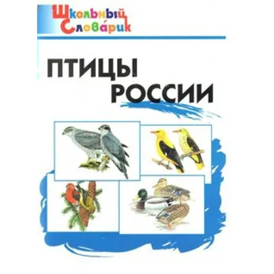 Обучающие карточки «Перелётные птицы России», 16 карточек (2410409) -  Купить по цене от 75.00 руб. | Интернет магазин SIMA-LAND.RU