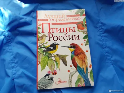 Птицы России. Ситникова Т.Н купить оптом в Екатеринбурге от 135 руб. Люмна