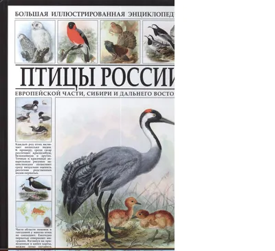 Птицы России. Определитель. Волцит П., Мосалов А. - «Серия \"Лучший  определитель\", а определитель далеко не лучший и точно не универсальный» |  отзывы