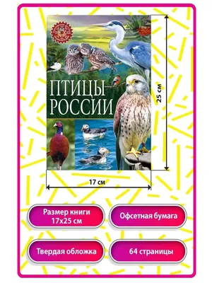 Иллюстрация 31 из 36 для Птицы России. Определитель - Мосалов, Волцит |  Лабиринт - книги. Источник: Кнопова Катерина