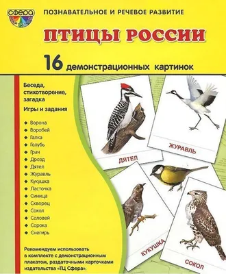 Большая иллюстрированная энциклопедия. Птицы России (Сергей Афонькин) -  купить книгу с доставкой в интернет-магазине «Читай-город». ISBN:  978-6-09-456153-5