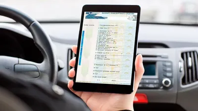 Перевод паспорта транспортного средства (ПТС) на английский | English Geeks
