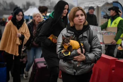 Археологи раскрыли пугающие находки под пирамидой майя | РБК Life