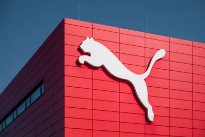 Puma Power | Defenders of Wildlife