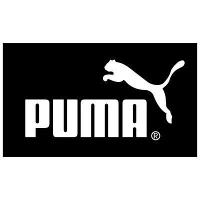 Puma CEO Arne Freundt Outlines His Vision for the Next Chapter – WWD