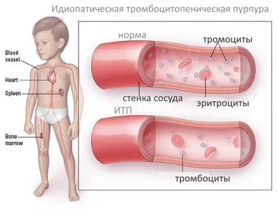 текстура пурпура фото рамки Иллюстрация штока - иллюстрации насчитывающей  текстура, уникально: 1924398