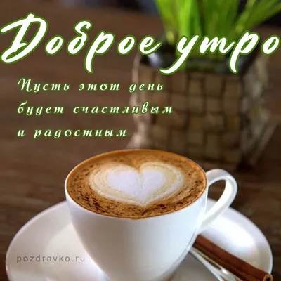 💐Доброе утро! ☀И пусть оно будет добрым-добрым!🐝 #утро #Чечерский_вестник  #утро_с_ЧВ | ВКонтакте