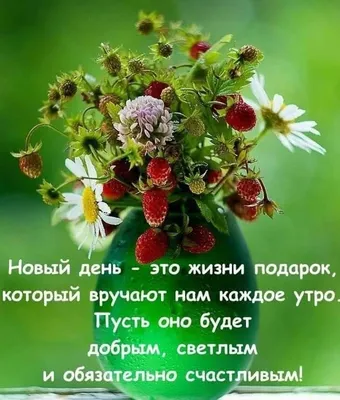 С добрым утром, с замечательным началом дня! Пусть утро будет добрым,  солнечным, ясным и самым чудесным - Лента новостей Мелитополя