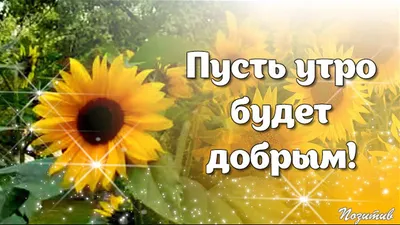 🌺🌿 ЯГОДКИ, ДОБРОЕ УТРО, ОТЛИЧНОГО ДНЯ! 🌿🌺 Пусть утро будет добрым И  добрым день родится! .. | ВКонтакте